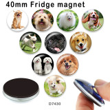10pcs/lot  Dog  glass picture printing products of various sizes  Fridge magnet cabochon