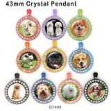 10pcs/lot  Dog  glass picture printing products of various sizes  Fridge magnet cabochon