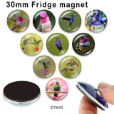 10pcs/lot  Hummingbird  glass picture printing products of various sizes  Fridge magnet cabochon