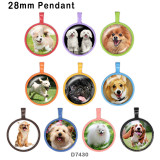10pcs/lot  Dog  glass picture printing products of various sizes  Fridge magnet cabochon