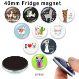 10pcs/lot  Alpaca  glass picture printing products of various sizes  Fridge magnet cabochon