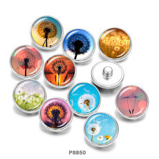 20MM  Dandelion  Print   glass  snaps buttons