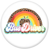 20MM  rainbow  Paia  Admin  Apple  Print   glass  snaps buttons
