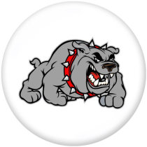 20MM  team Sport   pattern  Print   glass  snaps buttons