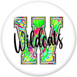 20MM USA  Chieks  Print   glass  snaps buttons
