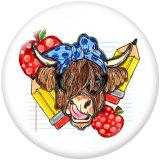 20MM words  Football  cattle  Print  glass  snaps buttons