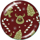 20MM  Flamingo  Music  Print  glass  snaps buttons