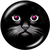 20MM  Cat  Flower  Fire Dept   Print  glass  snaps buttons