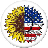 20MM  Route  Halloween  Print  glass  snaps buttons