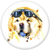20MM  Cat  Dog  Snowman   Print glass snaps buttons
