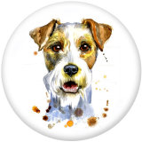 20MM  Cat  Dog  Snowman   Print glass snaps buttons