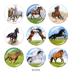 20MM horse Print glass snaps buttons