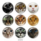 20MM cat  Print glass snaps buttons
