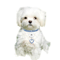New pet products, elastic love cats and dogs accessories, pet collars fit  1 18&20MM snap buttom snap jewelry