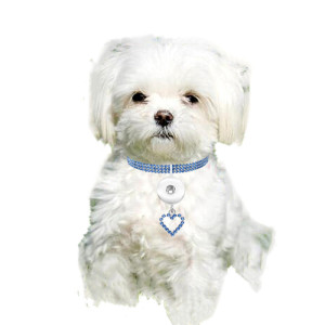 New pet products, elastic love cats and dogs accessories, pet collars fit  1 18&20MM snap buttom snap jewelry