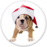 20MM  Christmas  Cat  Dog  Print glass  snaps  buttons