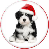 20MM  Christmas  Cat  Dog  Print glass snaps buttons