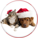 20MM  Christmas  Cat  Dog  Print glass snaps buttons