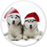 20MM  Christmas  Cat  Dog  Print glass  snaps  buttons