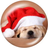 20MM  Christmas  Cat  Dog  Print glass snaps buttons