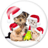 20MM  Christmas  Cat  Dog  Print glass  snaps  buttons