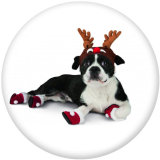 20MM  Christmas  Cat  Dog  Print glass  snaps  buttons