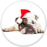 20MM  Christmas  Cat  Dog  Print glass  snaps  buttons