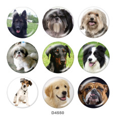 20MM dog Print glass snaps buttons