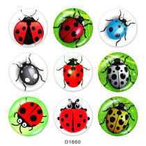 20MM Ladybug Print glass snaps buttons