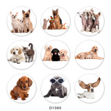 20MM dog Print glass snaps buttons