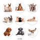 20MM dog Print glass snaps buttons