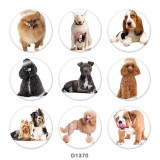 20MM dog Print glass snaps buttons