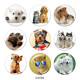 20MM dog Print glass snaps buttons