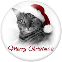20MM  Christmas  Cat   Print glass  snaps  buttons
