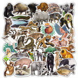 80 Amazon tropical rainforest animal graffiti stickers creative non-infringement skateboard trolley suitcase waterproof stickers