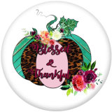 20MM  Thanksgiving   Pumpkin  Print glass snaps buttons