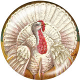 20MM  Thanksgiving  Print glass snaps buttons