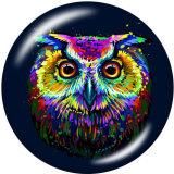 20MM  Owl   frog  sea turtle  Cat  rabbit  Dog  Print   glass  snaps buttons