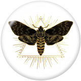 20MM  Dragonfly  Butterfly  Love  Print   glass  snaps buttons