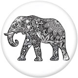20MM  Elephant   Print   glass  snaps buttons