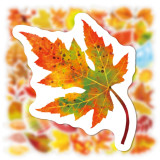 50 Autumn Leaves Maple Leaf Fall Graffiti Stickers Laptop Water Cup Waterproof Luggage Stickers