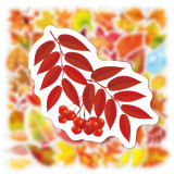 50 Autumn Leaves Maple Leaf Fall Graffiti Stickers Laptop Water Cup Waterproof Luggage Stickers