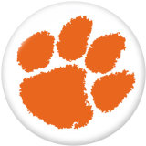 NEW  American Colleges-NCAA  Team Logos  20MM glass snap button