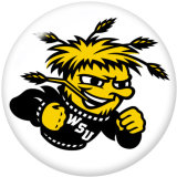NEW  American Colleges-NCAA  Team Logos  20MM glass snap button