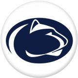 NEW  American Colleges-NCAA  Team Logos  20MM glass snap button