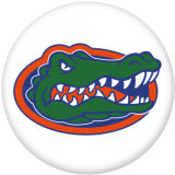 NEW  American Colleges-NCAA  Team Logos  20MM glass snap button