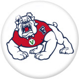 NEW  American Colleges - NCAA   Team Logos 20MM glass snap button