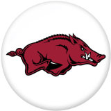 NEW  American Colleges-NCAA  Team Logos  20MM glass snap button