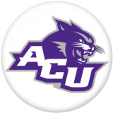 NEW  American Colleges - NCAA   Team Logos 20MM glass snap button