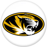 NEW  American Colleges - NCAA   Team Logos 20MM glass snap button